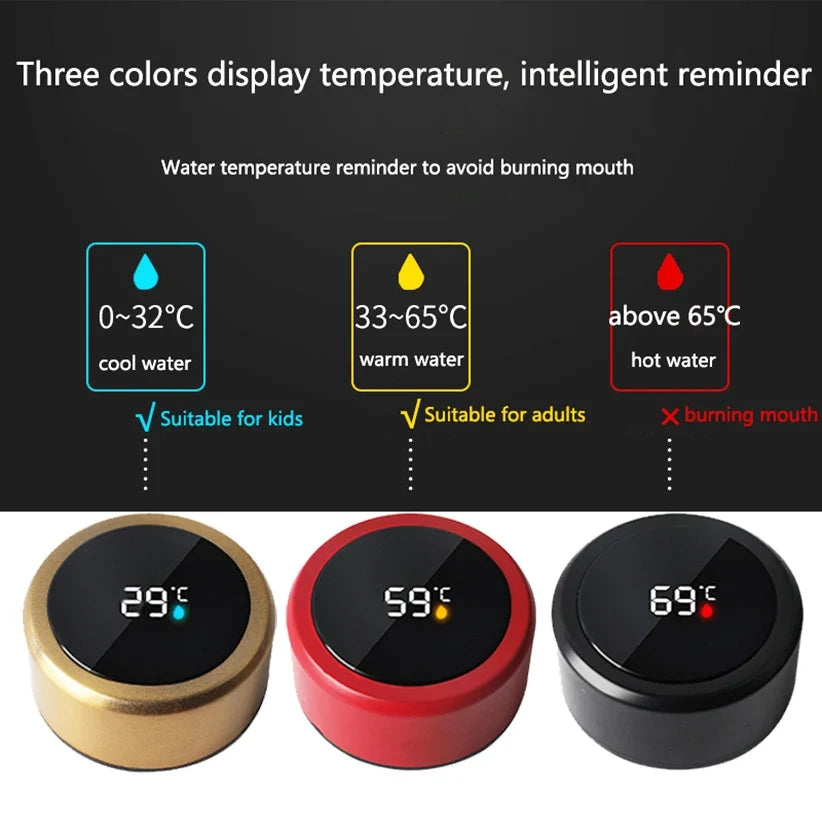 Smart Thermos Temperature Display Bottle aliexpress